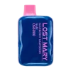 Blueberry Raspberry Gami Lost Mary OS5000