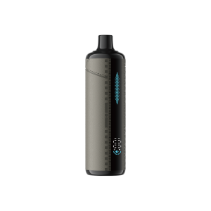 Berry Ice Urban Tale X Lost Mary E-Hookah 26000