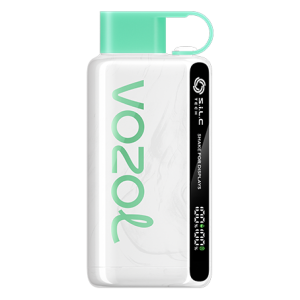 Cool Mint Vozol Star 9000