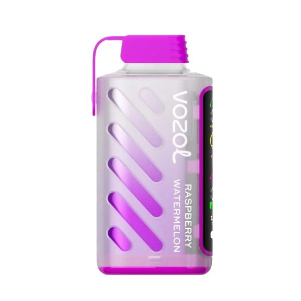 Raspberry Watermelon Vozol Gear Power 20000