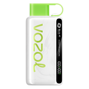 Strawberry Kiwi Vozol Star 9000